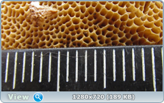 0_10204e_a64053a9_orig.png