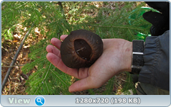 0_10415b_3d88d666_orig.png