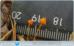 0_10f2e9_b53b19a2_orig.png