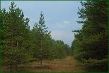0_ea2b6_126e3d75_orig.jpg
