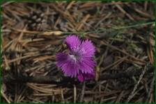 0_ea30c_30d7b739_orig.jpg
