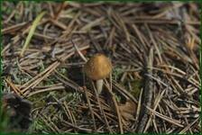 0_ea30e_99927256_orig.jpg