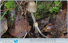0_109280_b04244d2_orig.png