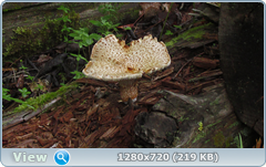 0_10a6eb_4ff5f21a_orig.png