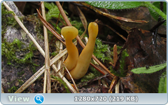 0_10a6ef_809a6284_orig.png