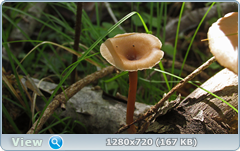 0_1122a0_3151aa59_orig.png