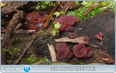 0_1122e7_3b81ac88_orig.png
