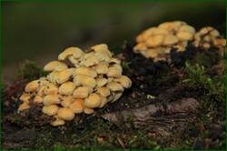 0_1244b6_8dc3b958_orig.jpg