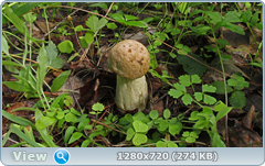 0_10966c_e6c1a065_orig.png