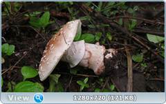 0_109686_f8add99c_orig.png