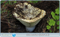 0_fbad4_b6150a98_orig.png