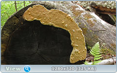 0_fc259_c5970874_orig.png