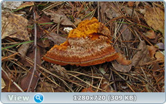 0_f4d62_9ab3689b_orig.png