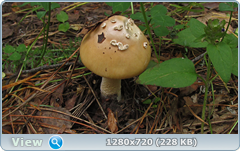 0_fbc12_461e65cb_orig.png