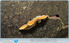 0_fc4ad_b3b1257d_orig.png