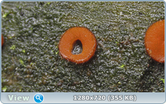 0_e90fc_d3fc0aa3_orig.png