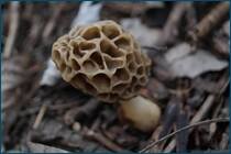 0_cc974_7f34265d_orig.jpg