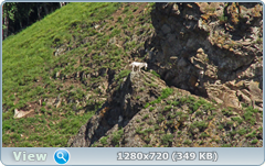 0_e746e_58fdc97f_orig.png