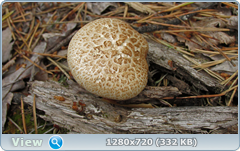 0_e9810_df951c3e_orig.png