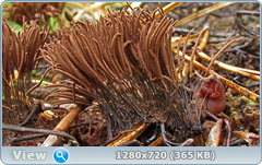 0_e9b11_a4b0a84f_orig.png