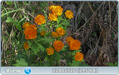 0_106c02_35fc46d6_orig.png