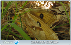 0_106c08_b4947ea5_orig.png
