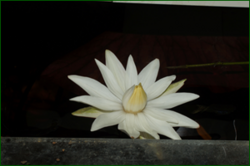 0_dfc90_fcc9572c_orig.png