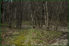 0_e23af_a733c27e_orig.png