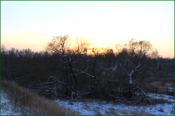 0_113fd9_1b662f47_orig.png