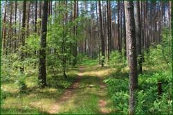 0_123c3b_9f279396_orig.jpg