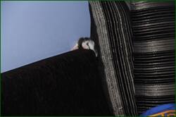 0_124084_f4ca0719_orig.jpg