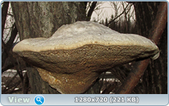 0_102933_9428a023_orig.png