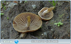 0_107e95_50e9ebe2_orig.png