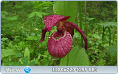 0_1086e6_128c237_orig.png