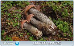 0_1120ba_d9e321de_orig.png