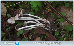 0_11336c_9ff43d7a_orig.png