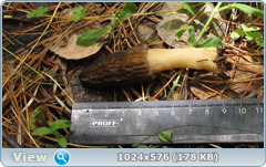 0_fb6a0_9f917848_orig.png