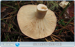 0_fb988_5ce38828_orig.png