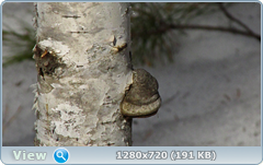 0_101338_735f2e43_orig.png