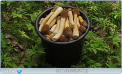 0_105ff8_36128f32_orig.png