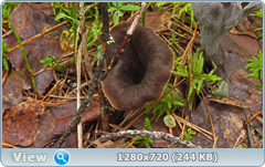0_10ddca_c6f968bc_orig.png