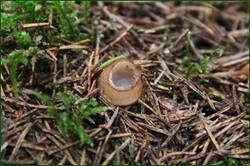 0_1282e1_749ac419_orig.jpg