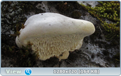 0_10205e_3fe9b2c_orig.png