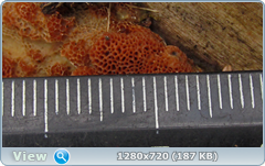 0_102096_eb0ddeb4_orig.png