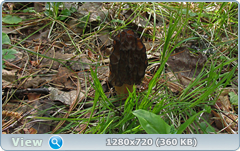 0_1068c2_9f02d28e_orig.png