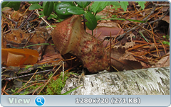 0_10b54e_dac85803_orig.png