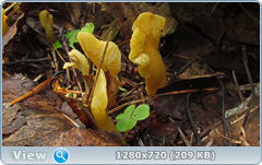 0_10b5c6_537252c6_orig.png