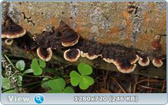 0_10b5d4_dcdce400_orig.png