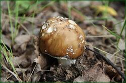 0_126809_de1ec683_orig.jpg