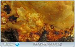 0_105647_dacc3201_orig.png